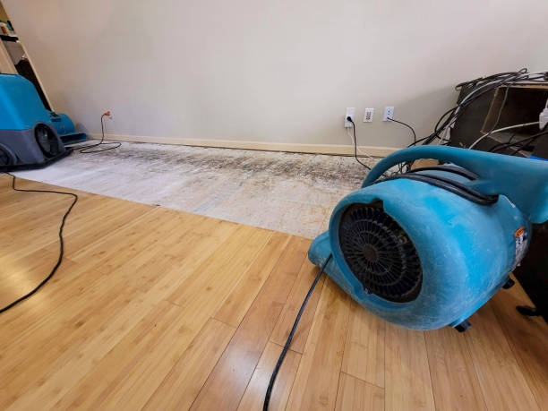 Professional Flood Damage Cleanup technician working in Williams, OR